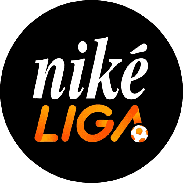 Domestic leagues