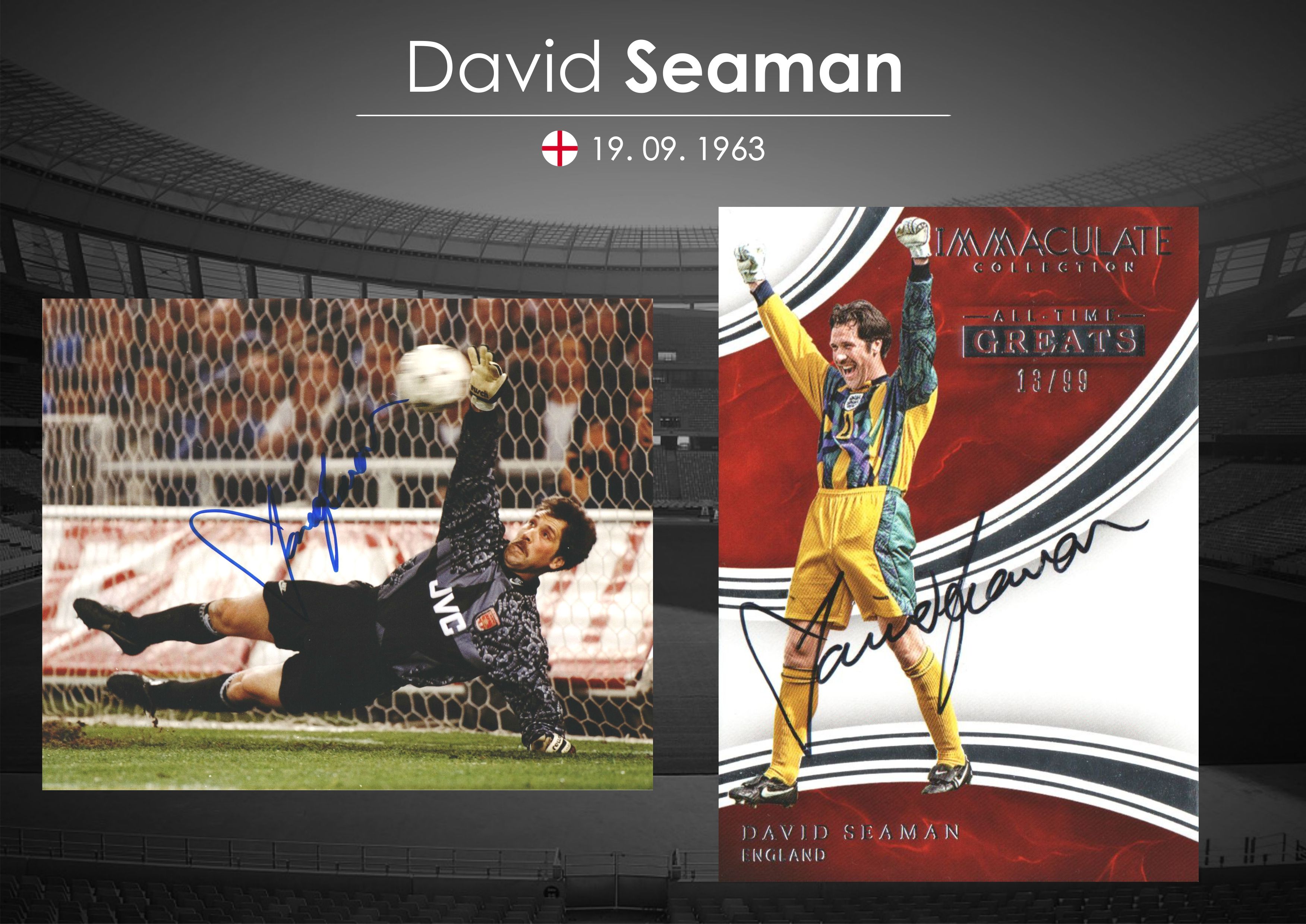 David Seaman