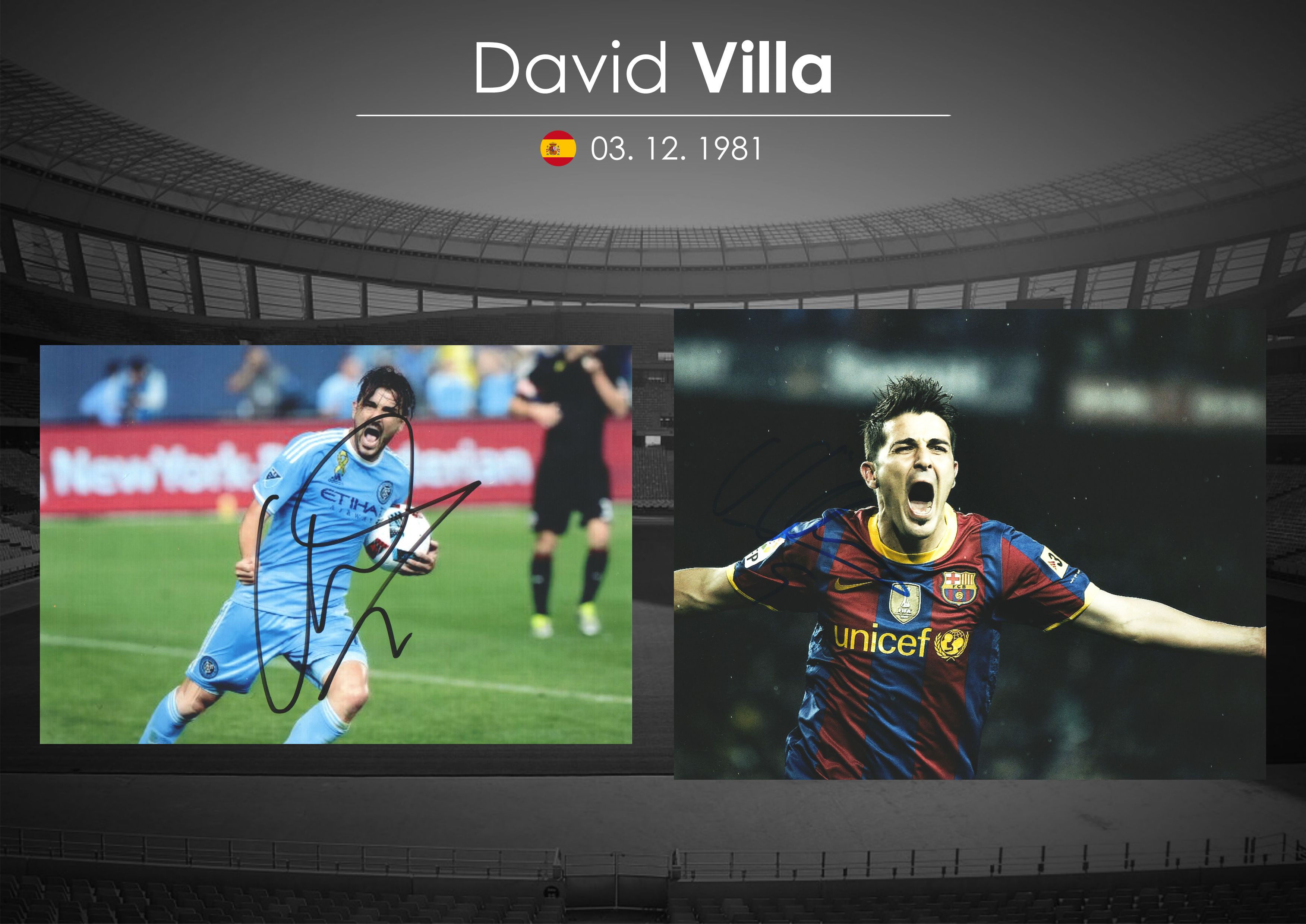David Villa