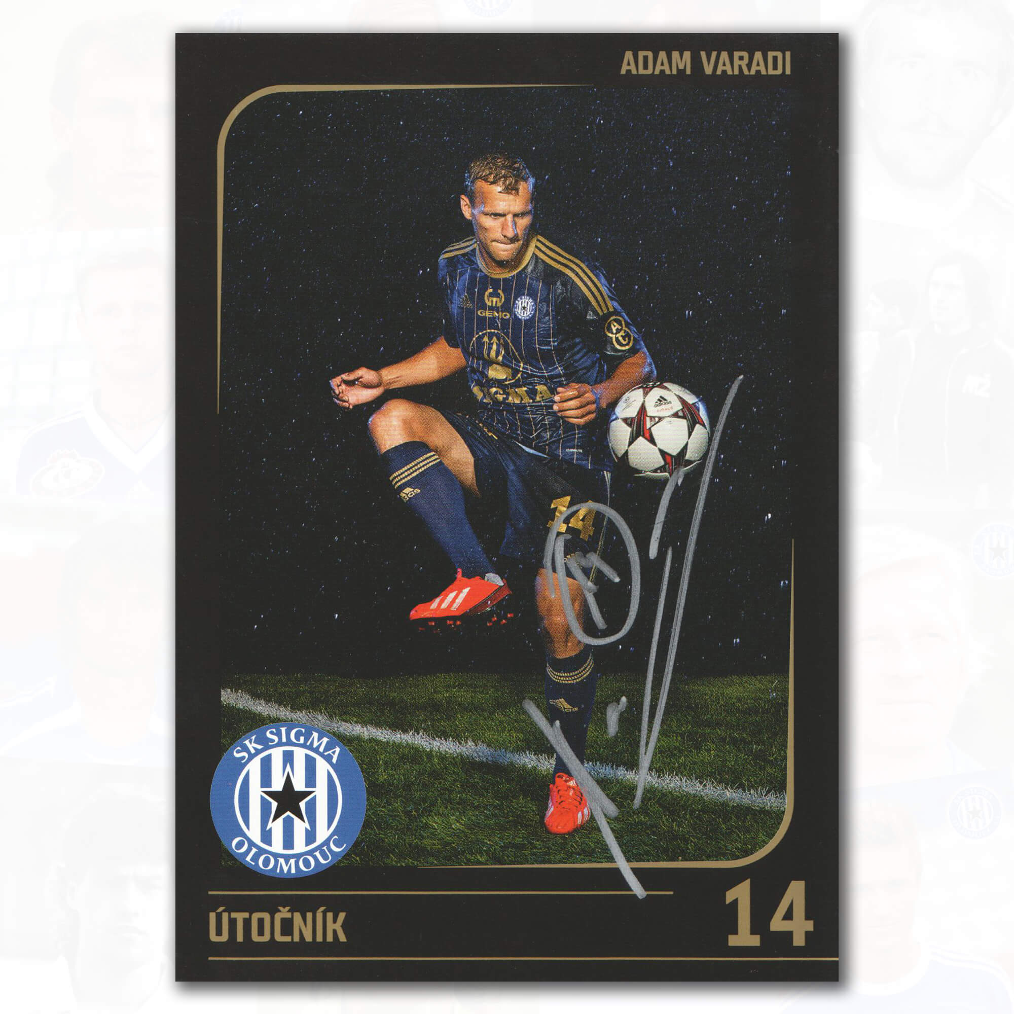 2013/14 Adam Varadi