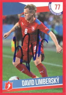 David Limberský (Česko)