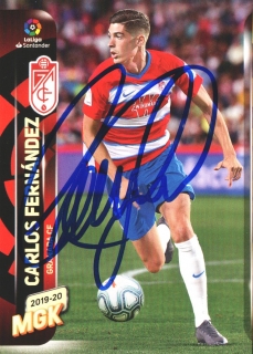 Carlos Fernández (Granada)