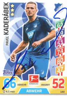 Pavel Kadeřábek (Hoffenheim)