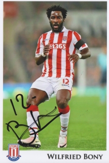 Wilfried Bony (Stoke City)