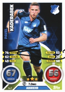 Pavel Kadeřábek (Hoffenheim)