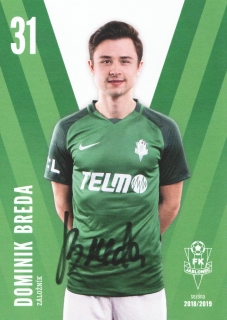 Dominik Breda (Jablonec)