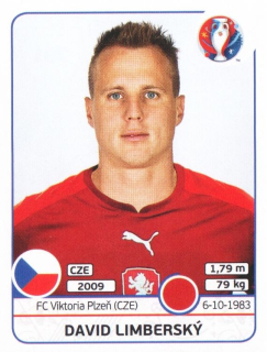 David Limberský (Czechia)