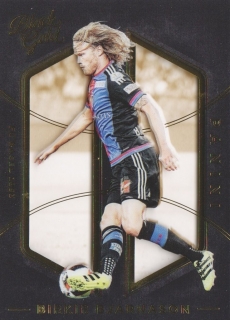 Birkir Bjarnason (Basel)