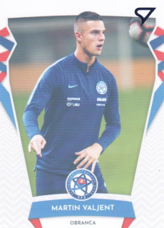 Martin Valjent (Slovakia) /35