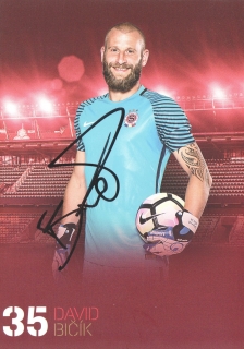 David Bičík (Sparta Praha)