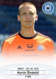 252 - Martin Šindelář