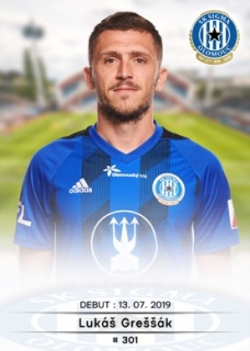 301 - Lukáš Greššák