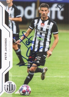 Petr Javorek (Dynamo České Budějovice)