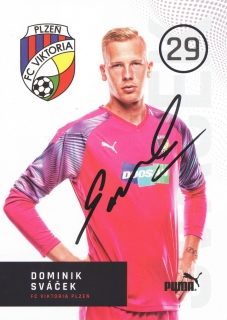 Dominik Sváček (Viktoria Plzeň)