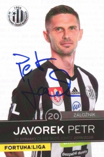 Petr Javorek (Dynamo České Budějovice)