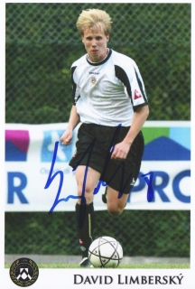 David Limberský (Udinese)