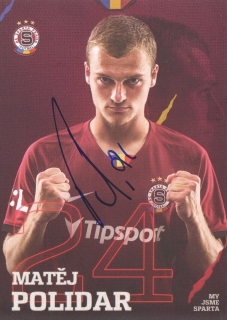 Matěj Polidar (Sparta Praha)