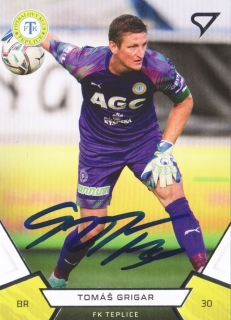 Tomáš Grigar (Teplice)