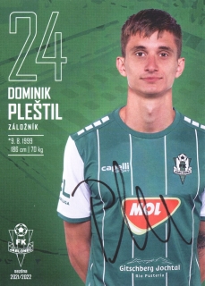 Dominik Pleštil (Jablonec)