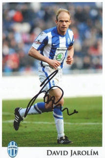 David Jarolím (Mladá Boleslav)