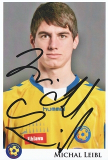 Michal Leibl (Vysočina Jihlava)