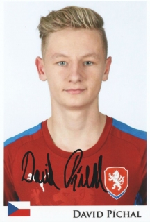 David Píchal (Česko)