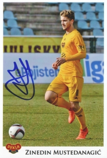 Zinedin Mustedanagić (Dukla Praha)