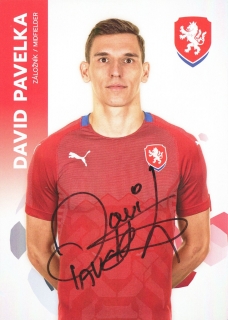 David Pavelka (Česko)