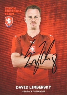 David Limberský (Česko)