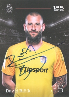David Bičík (Sparta Praha)