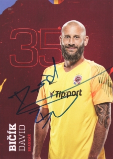 David Bičík (Sparta Praha)