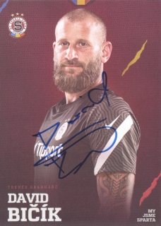 David Bičík (Sparta Praha)