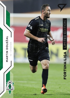 Martin Doležal (Jablonec) /19
