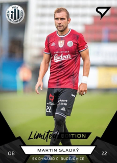 Martin Sladký (Dynamo České Budějovice) /19