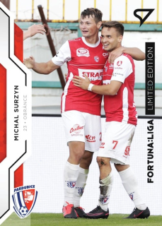 Michal Surzyn (Pardubice) /19