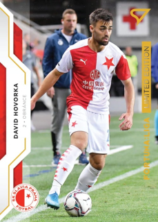 David Hovorka (Slavia Praha) /99