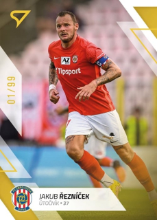 Jakub Řezníček (Zbrojovka Brno) /99