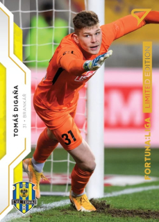 Tomáš Digaňa (Opava) /99