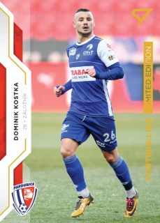 Dominik Kostka (Pardubice) /99