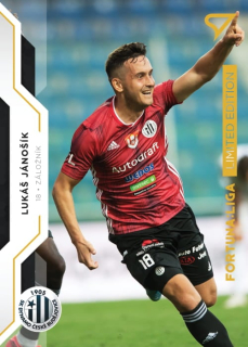 Lukáš Jánošík (Dynamo České Budějovice) /99