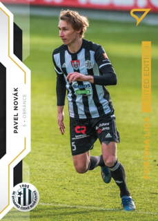 Pavel Novák (Dynamo České Budějovice) /99