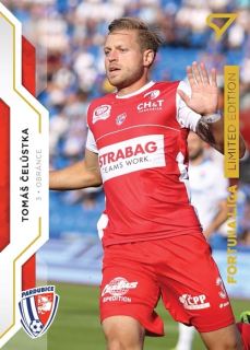 Tomáš Čelůstka (Pardubice) /99