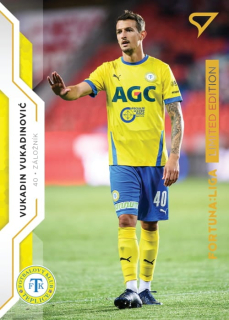 Vukadin Vukadinović (Teplice) /99