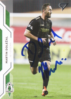 Martin Doležal (Jablonec)
