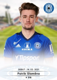 316 - Patrik Slaměna