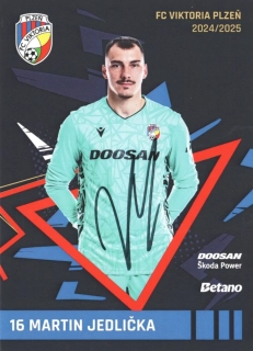 Martin Jedlička (Viktoria Plzeň)