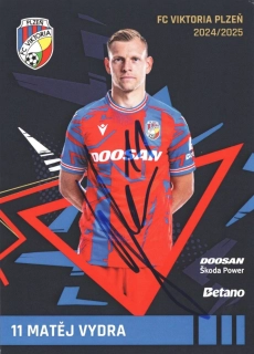 Matěj Vydra (Viktoria Plzeň)