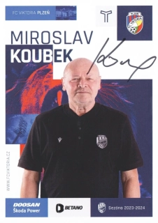 Miroslav Koubek (Viktoria Plzeň)