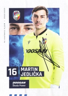 Martin Jedlička (Viktoria Plzeň)