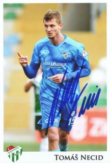 Tomáš Necid (Bursaspor)